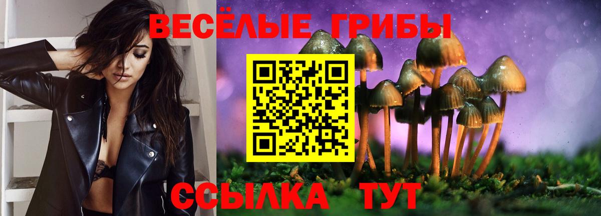 Галлюциногенные грибы прущие грибы Электросталь